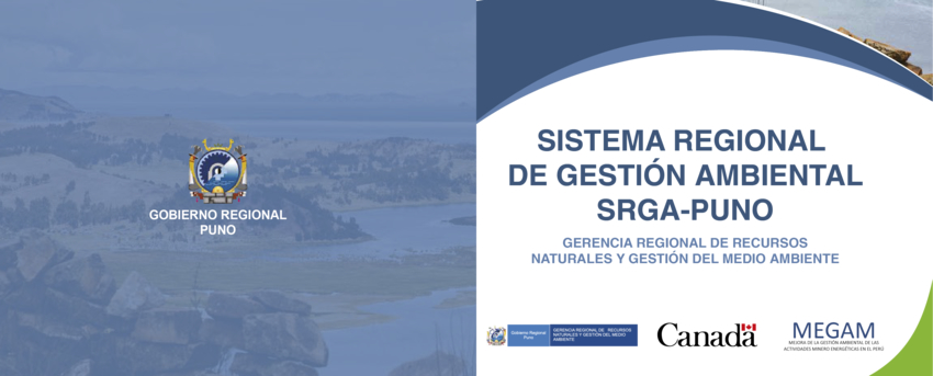 Sistema Regional De Gesti N Ambiental Srga Puno Megam